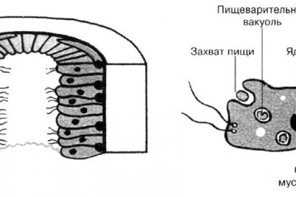 Не приходят деньги на кракен