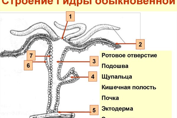 Кракен тор текст