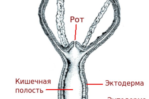 Кракен сайт kr2web in